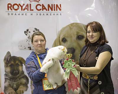 �������� �����  18-19 ������� 2014 ������������ ��� 4-39-169A2784 copy.jpg